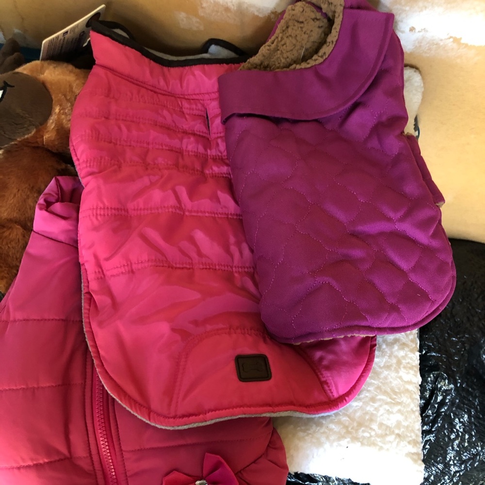 Dog clothes